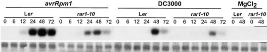 Figure 6.