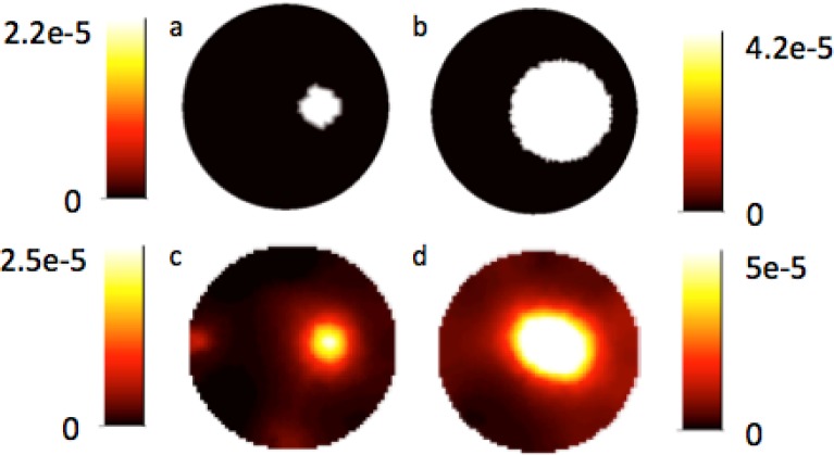 Fig. 4