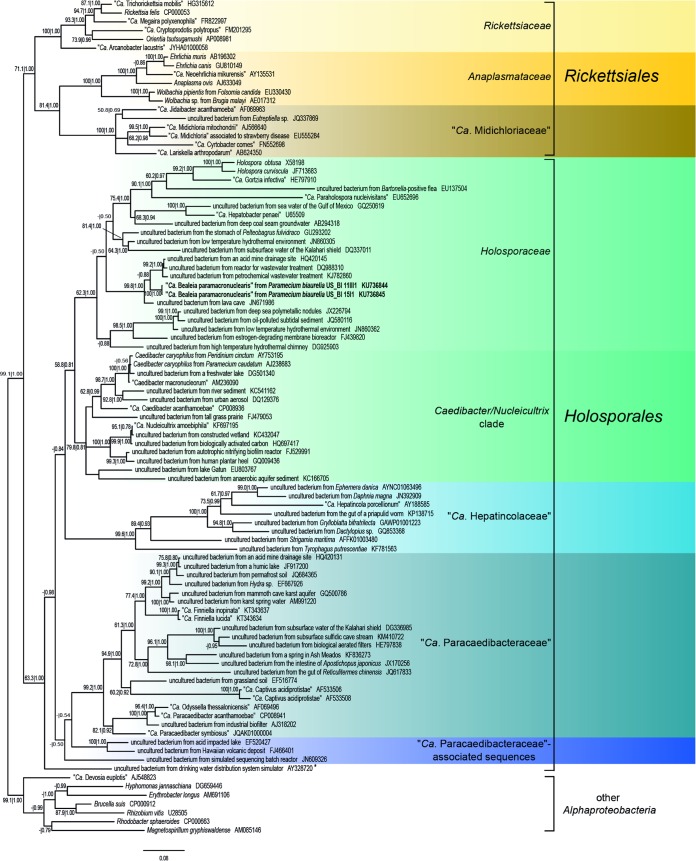 FIG 2