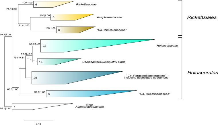 FIG 3