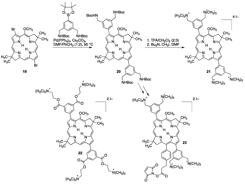 Scheme 6