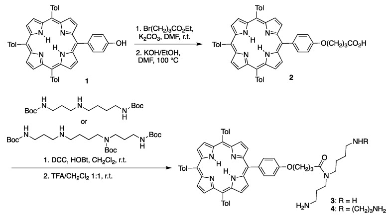 Scheme 2