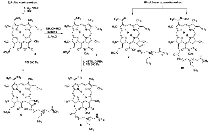 Scheme 3