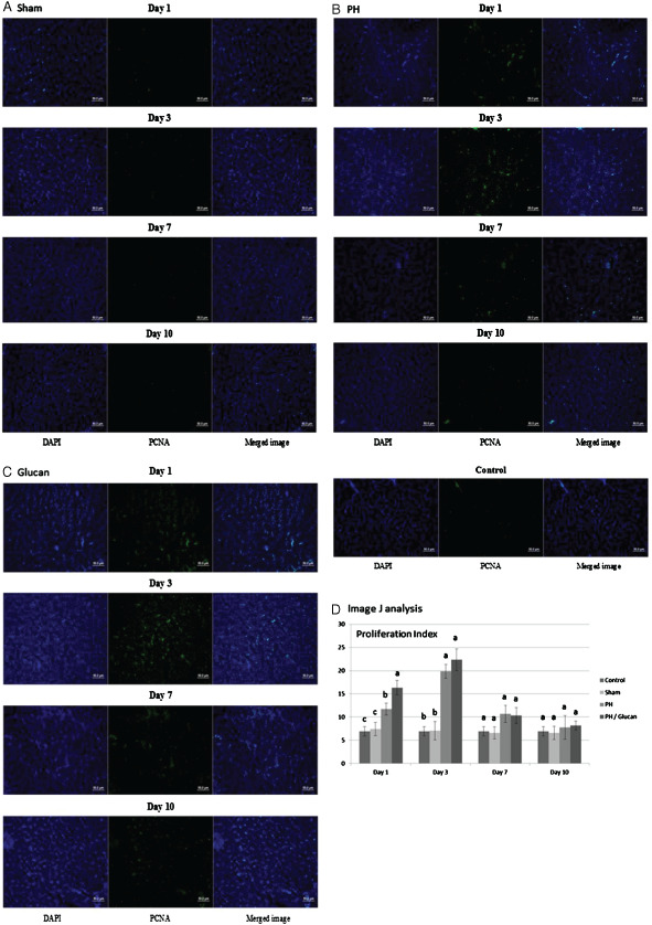 IWJ-12427-FIG-0003-c