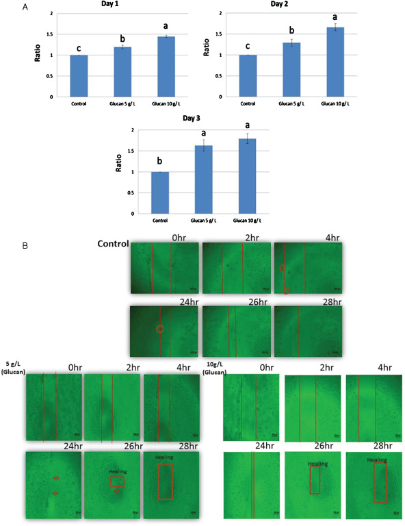 IWJ-12427-FIG-0002-c