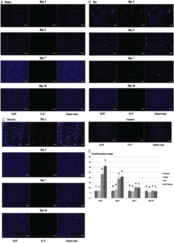 IWJ-12427-FIG-0004-c