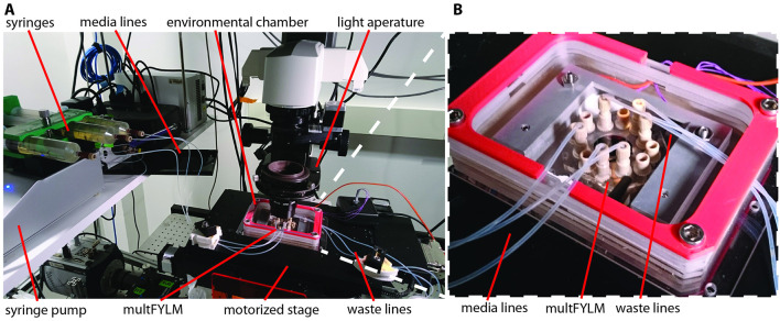 Figure 4.