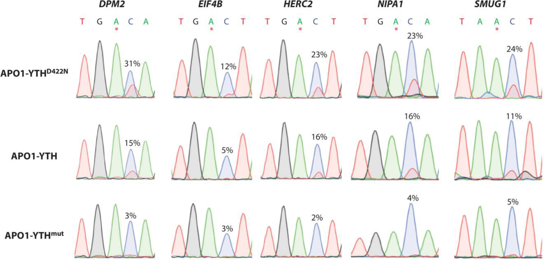 Figure 6.