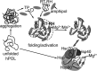 FIG 10
