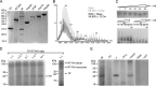 FIG 9