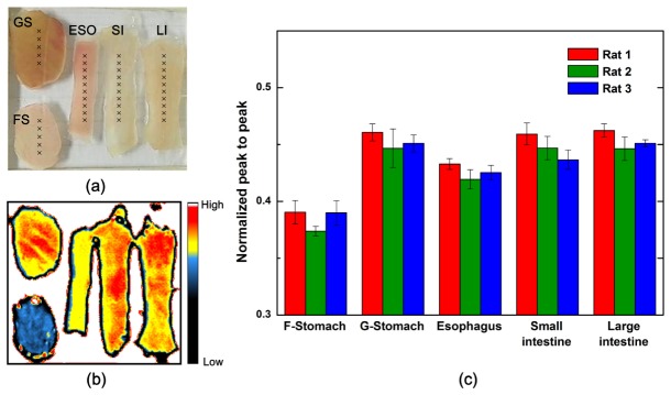 Fig. 2