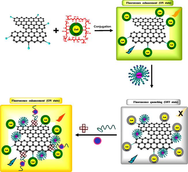 Graphical abstract