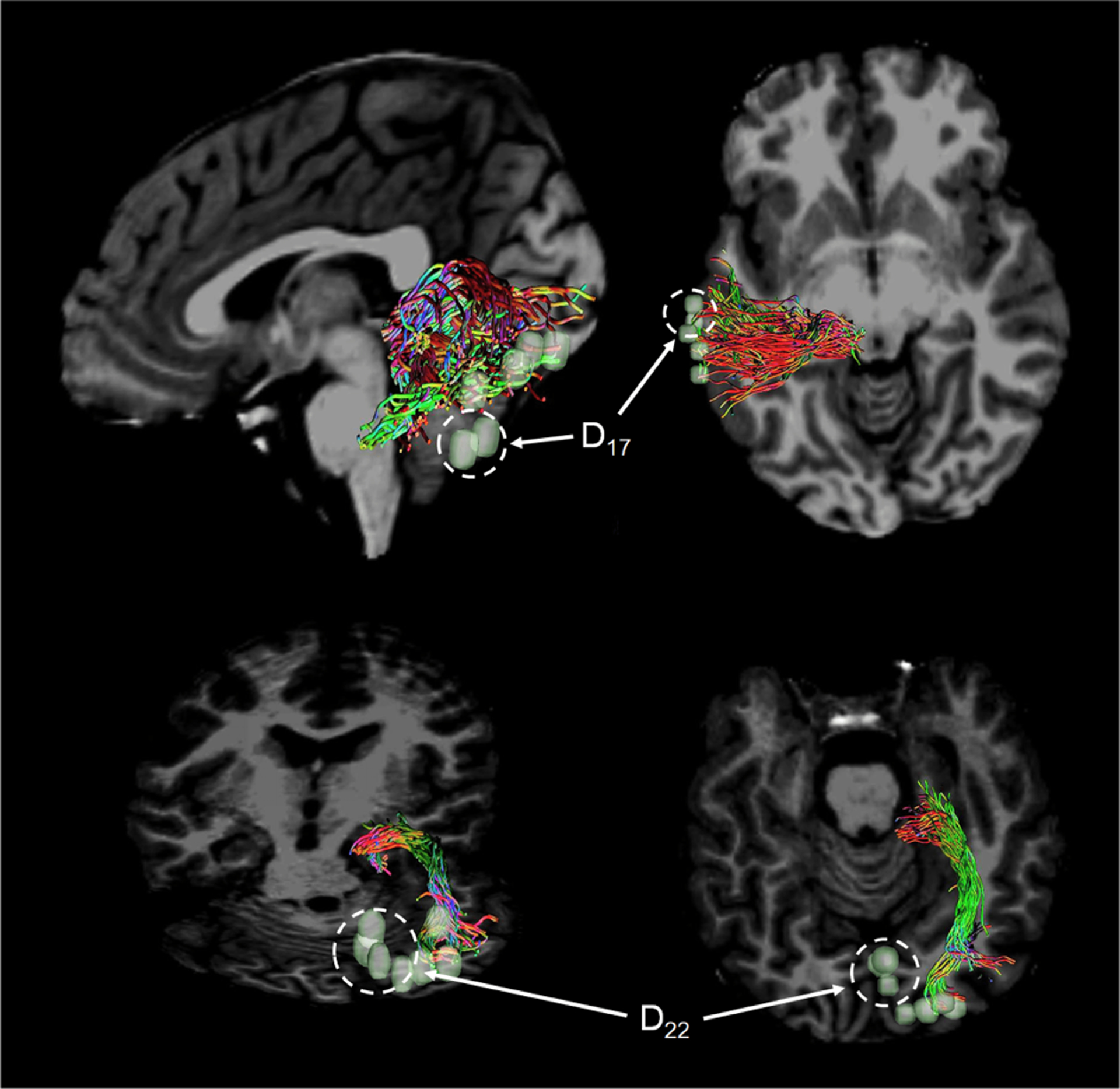 Fig. 13.