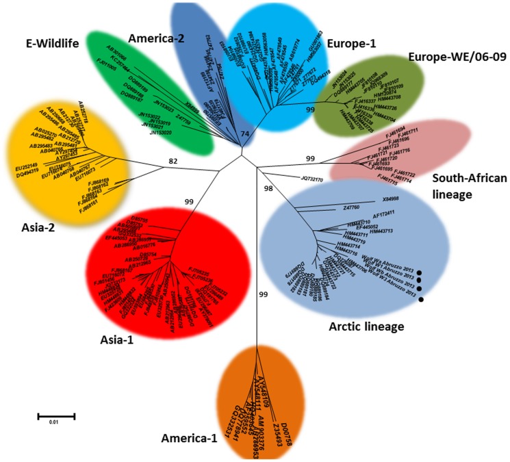 Figure 5