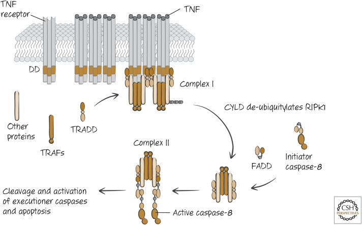 Figure 11.