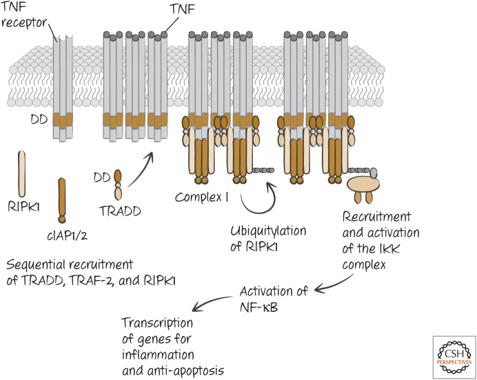 Figure 10.