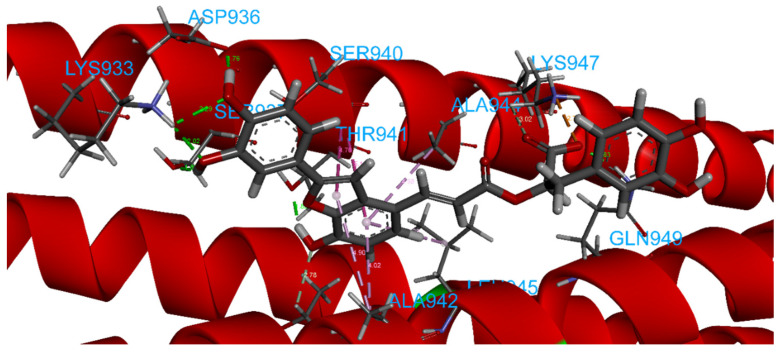 Figure 12