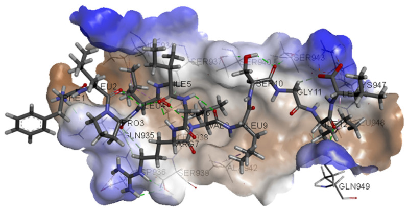 Figure 10