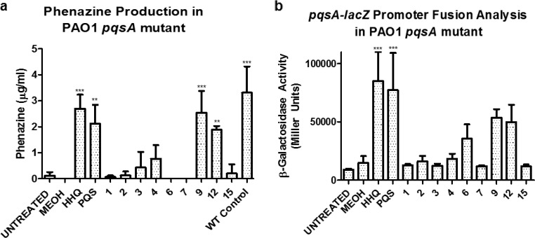 FIG 6