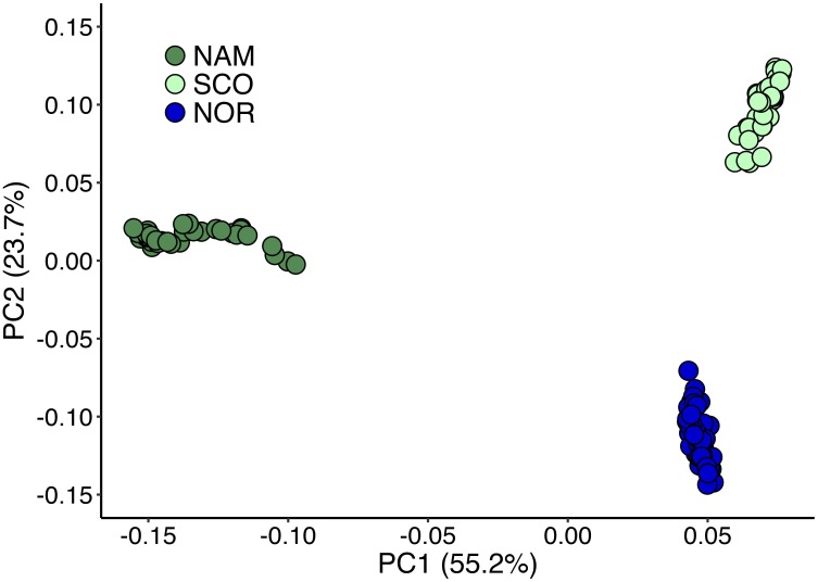 FIGURE 2