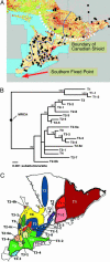 Fig. 1.