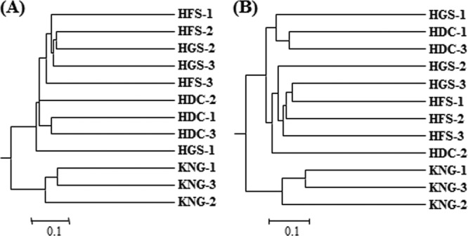 Fig 5