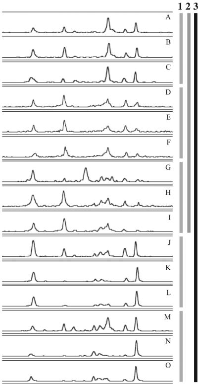 FIG. 5.