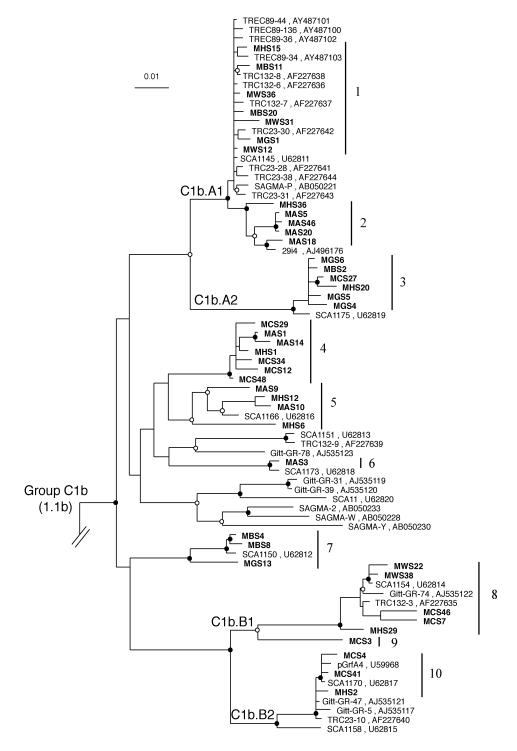 FIG. 8.