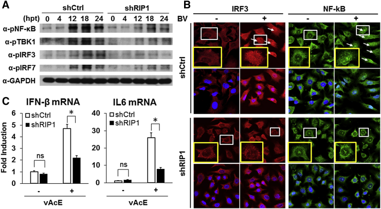 Figure 6