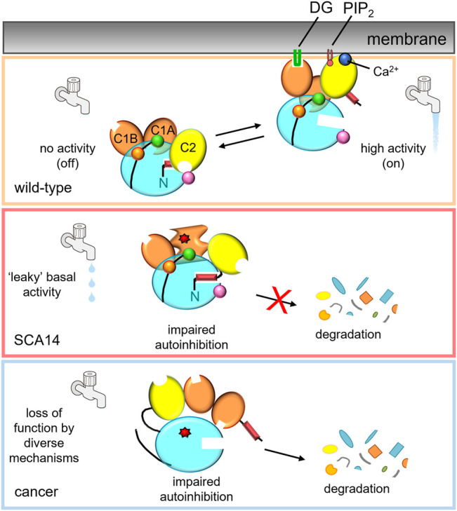 FIGURE 2