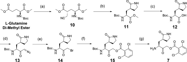 Fig 5