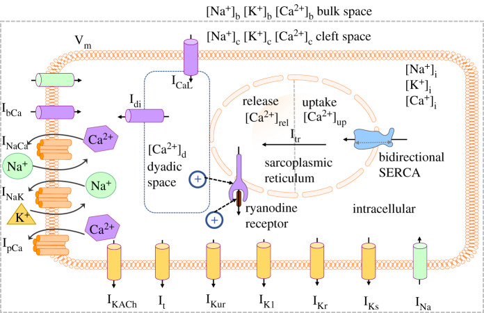 Figure 2.