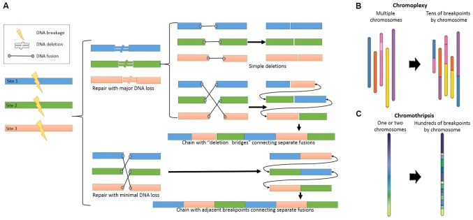 Figure 1.