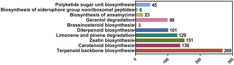 Fig. 9