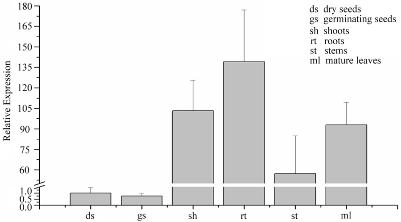 Figure 4