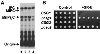 FIG. 6