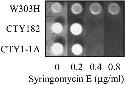 FIG. 5