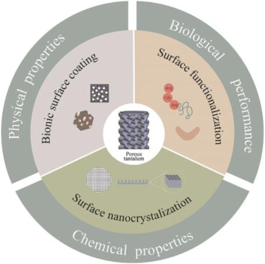 graphic file with name FBIOE_fbioe-2022-983695_wc_abs.jpg