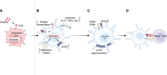 Figure 3