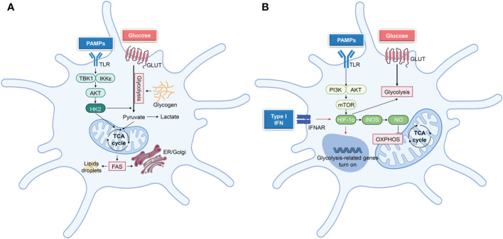 Figure 4