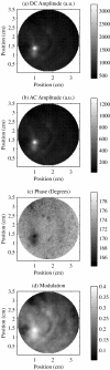 Figure 21