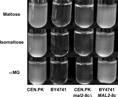 FIGURE 4.