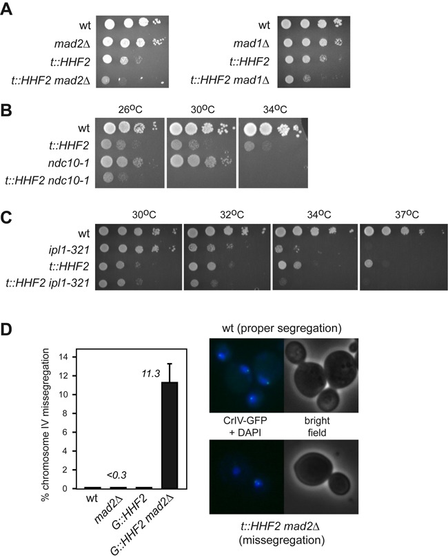 Figure 6.