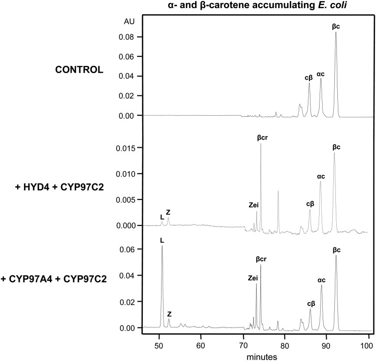 Figure 3.