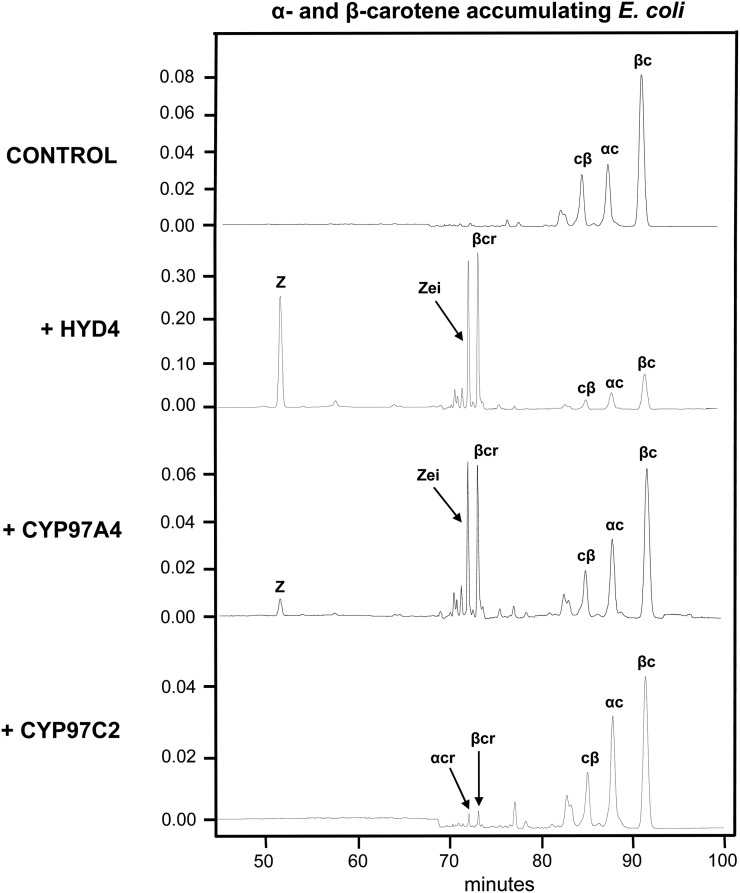 Figure 2.