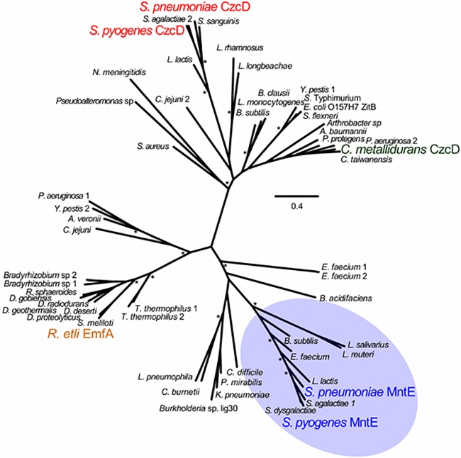 FIG 1 