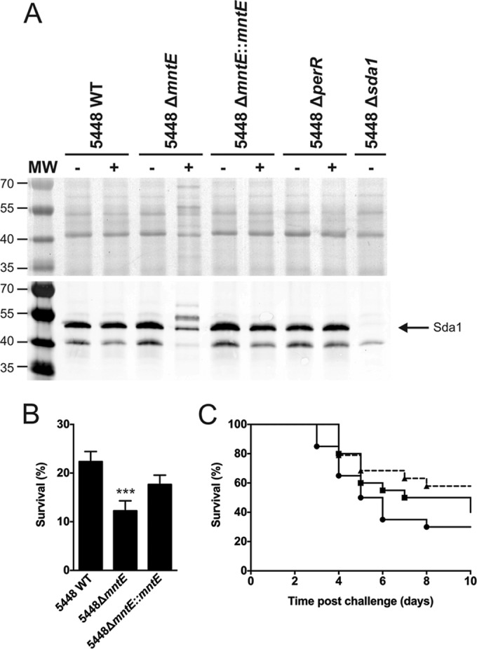 FIG 6 