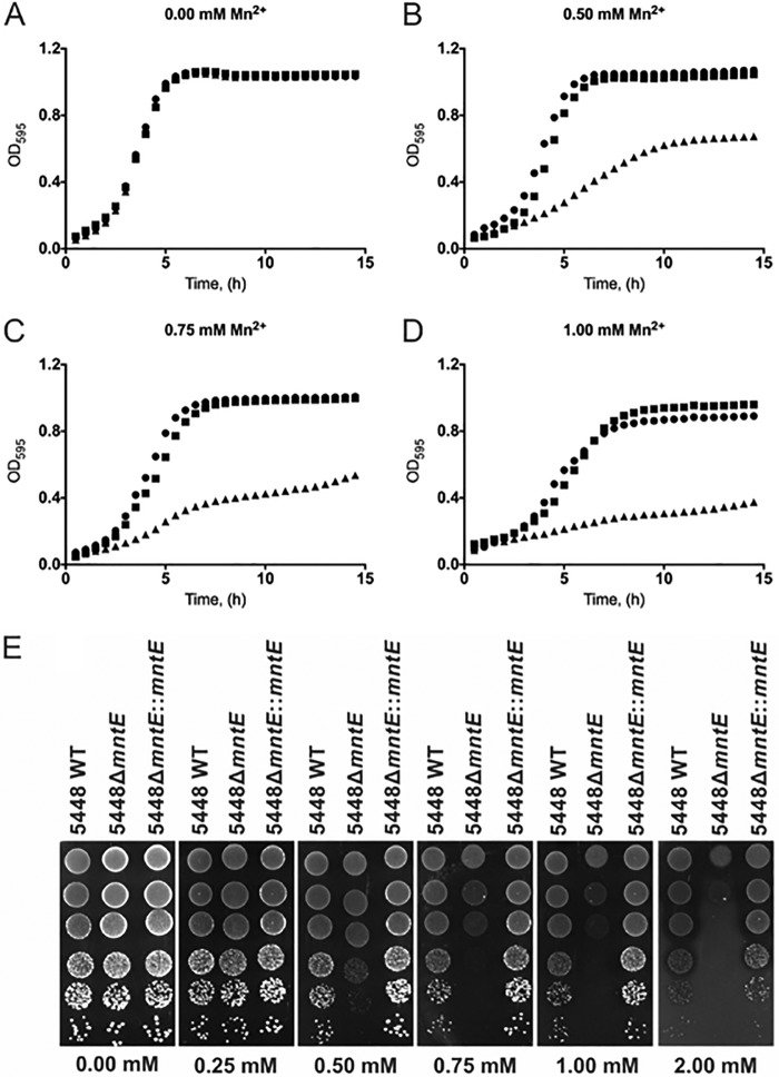 FIG 2 