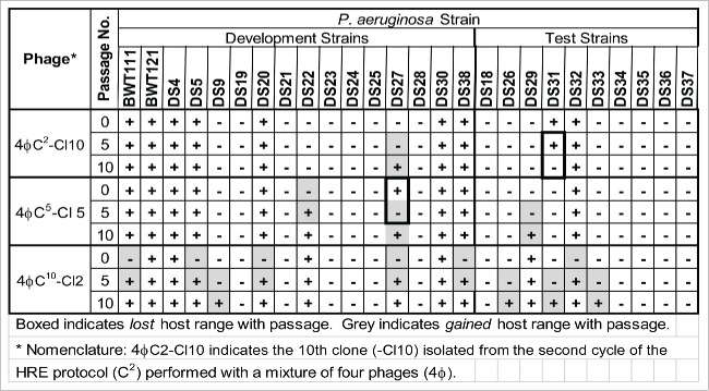 Figure 4.