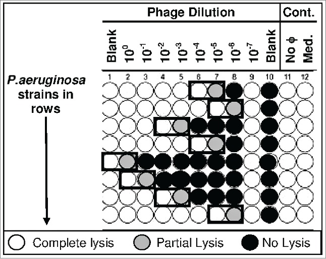 Figure 7.